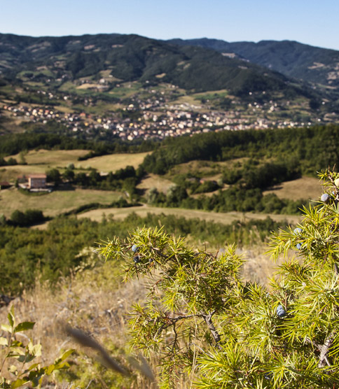 Panoramica borgo